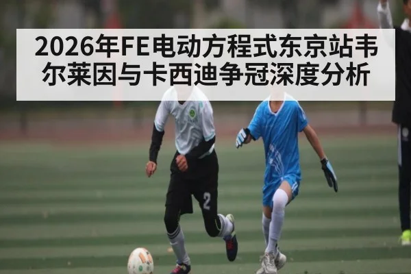 2026年FE电动方程式东京站韦尔莱因与卡西迪争冠深度分析
